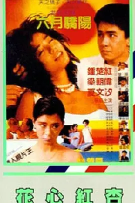 中文字幕在线精品
